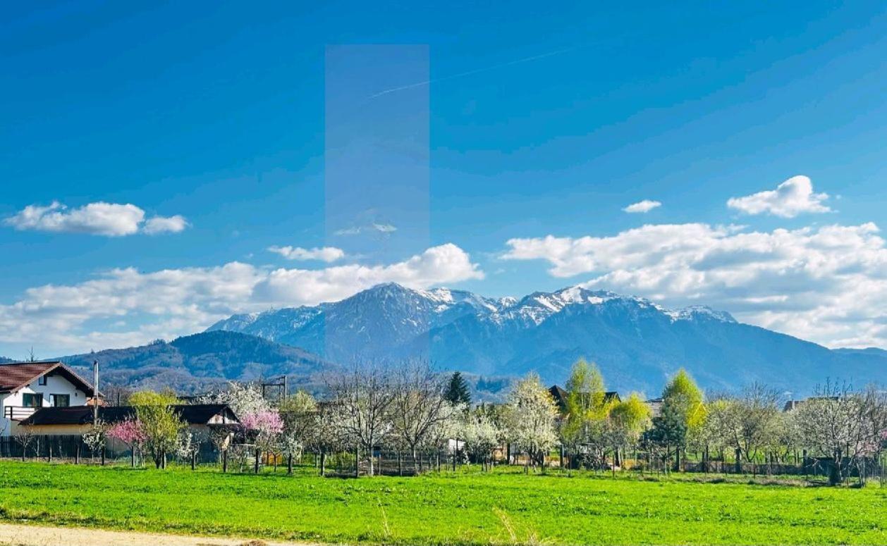 Das Home Rîşnov Kültér fotó